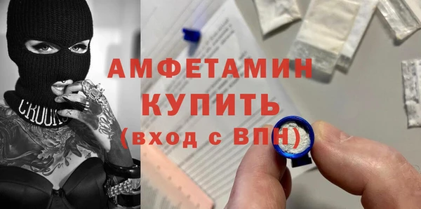 стафф Гусев
