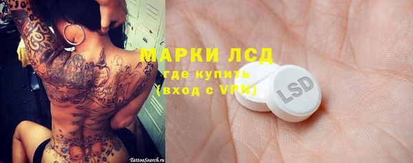 стафф Гусев