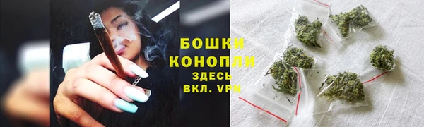 стафф Гусев