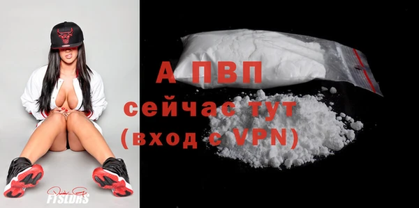 стафф Гусев