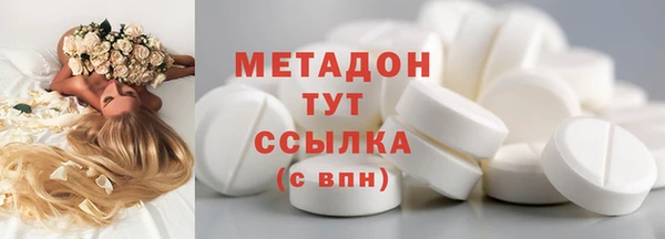 стафф Гусев