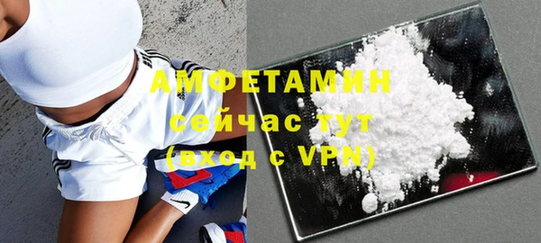 стафф Гусев