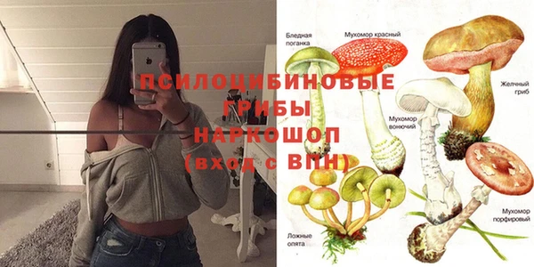 стафф Гусев