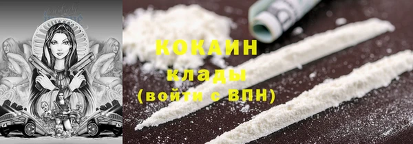 стафф Гусев